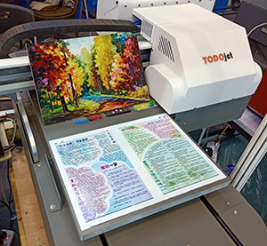 TODOjet A3 UV printer show at DPES expo in 2018