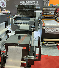 30cm Roll to roll DTF printer with powder shaking machine