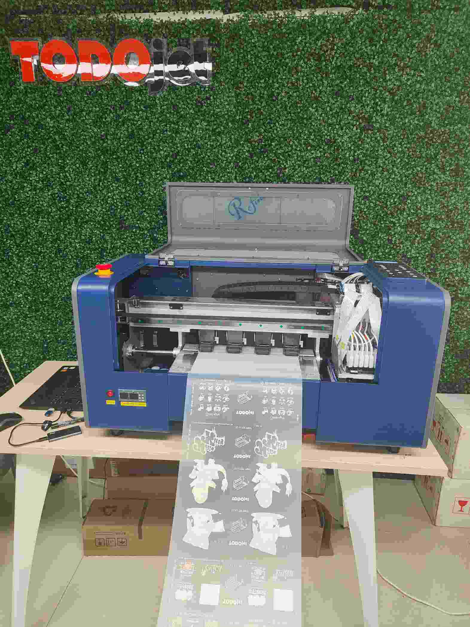 Roll to Roll Dtf Printer 30cm width with Auto Powder Shaking and Drying Machine for A4 A3 Dtf Printing