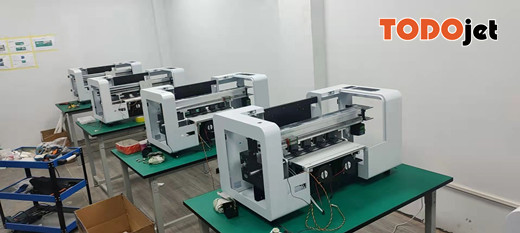 Textile printing White Textile 30CM double xp600 printer dtf a3 with powder shake machine set all in one