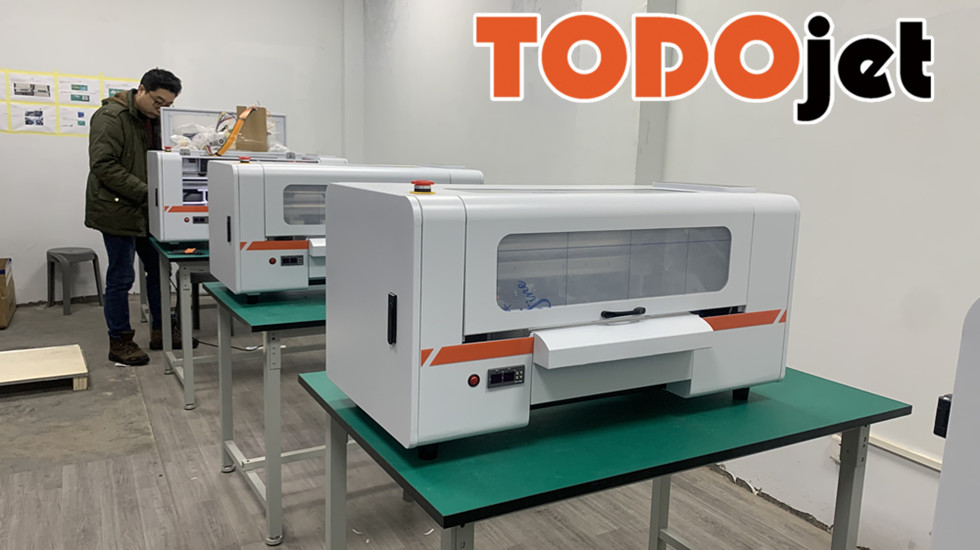 TODOjet dtf printer 30cm small textile equipment dtf pet film printer with powder treatment xp600head inkjet printers no head low price