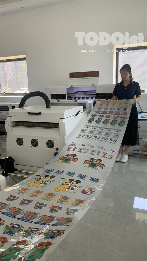 China New A1 PET Film Printing Machine with I3200 printhead