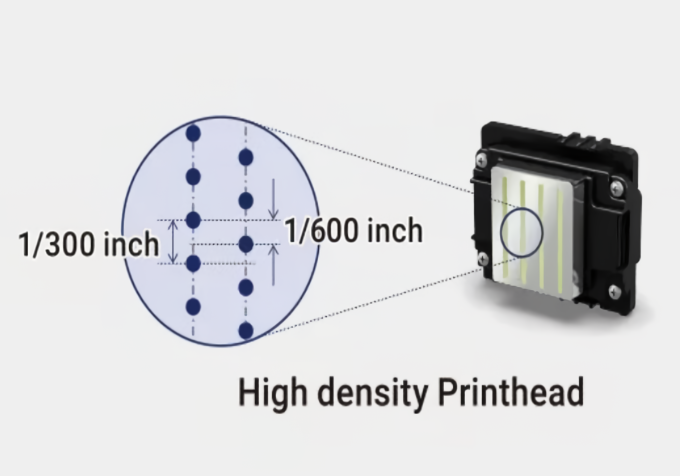 Fedar Dye Sublimation Printer FD61915E-A Upgrades Your Print Business to New Heights in 2024